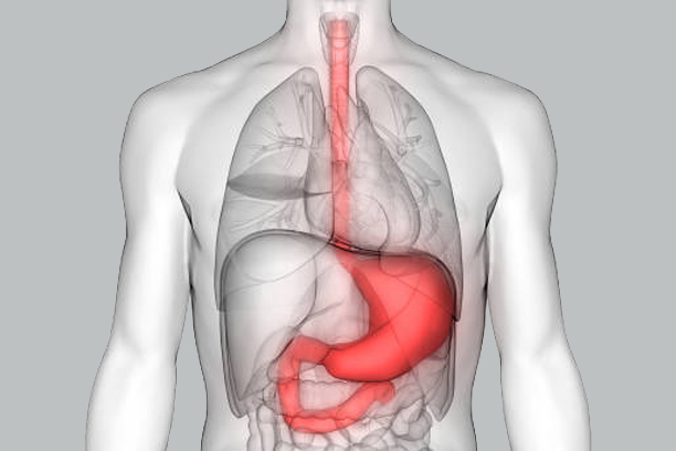 Esophagus Diseases